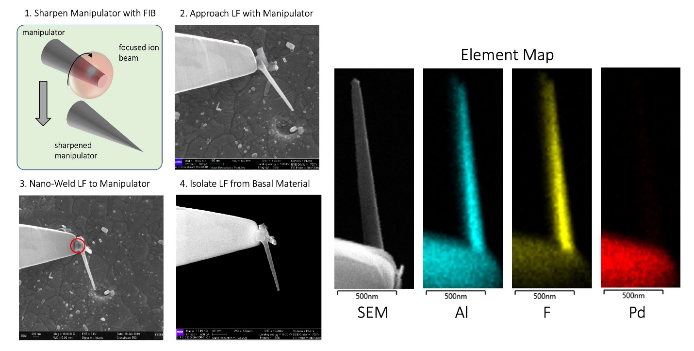A micromanipulator lifted a linear feature off the palladium so it could be analyzed without the substrate overwhelming the signal